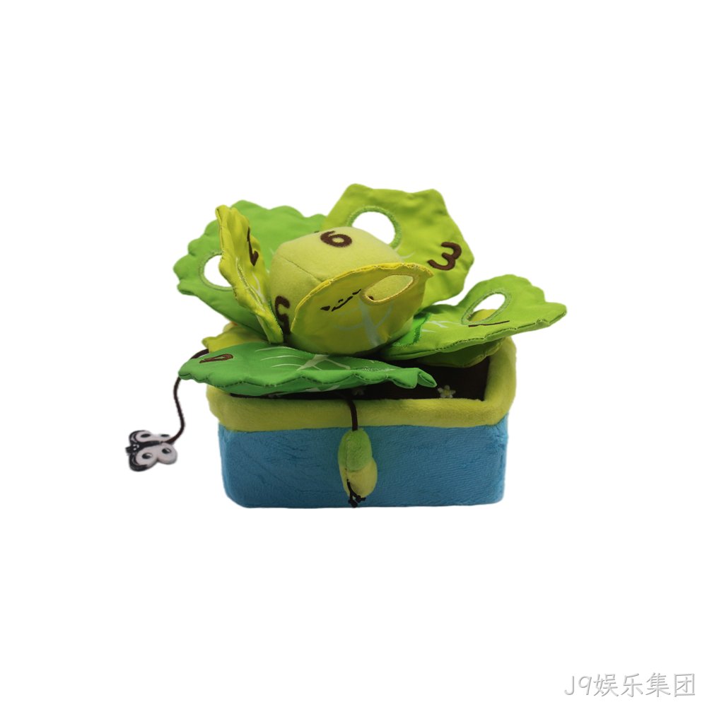包菜盆栽